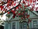 Fall colors on our block.